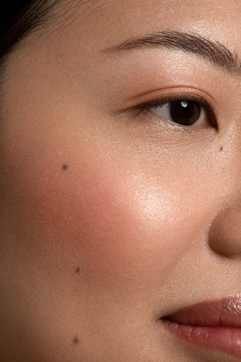 Dual Blush & Highlighter Powder