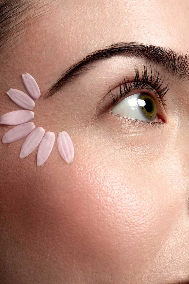 Dual Blush & Highlighter Powder